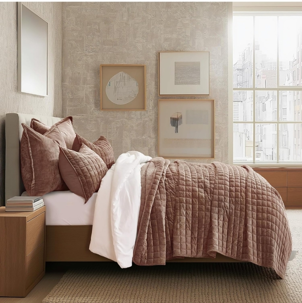 RECYCO Luxury Velvet Quilt Queen Size Bedding Set, Ultra Soft Velvet Comforter